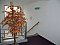 Appartement Hotelu Joker - Appartements. Ort und Datum. HIER.
