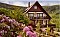 Ferienwohnung FeWo Haus Rheintalblick Sasbachwalden / Brandmatt Ferienwohnung FeWo Haus Rheintalblick Sasbachwalden / Brandmatt