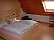 Ferienwohnung FeWo Heun Bad Waldsee / Reute Ferienwohnung FeWo Heun Bad Waldsee / Reute