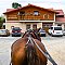 HIPPOCLUB Lednice, s.r.o.