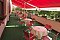 Hotel Tábor MAS *** Sezimovo Ústí II: billige Hotels Tabor - Hotels.
