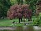 Pension Am Park Berlin Charlottenburg: billige Pensionen Berlin - Pensionen