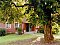 Pension Liebold Gartz / Friedrichsthal Pension Liebold Gartz / Friedrichsthal