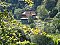Pension Moosbach Nordrach Pension Moosbach Nordrach