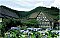 Hotel Sonne Schenkenzell Hotel Sonne Schenkenzell