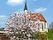Hotel Viereckl Unterkunft Steinhaus bei Wels: billige Hotels Wels - Hotels.