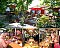 China-Restaurant Rosengarten China-Restaurant Rosengarten